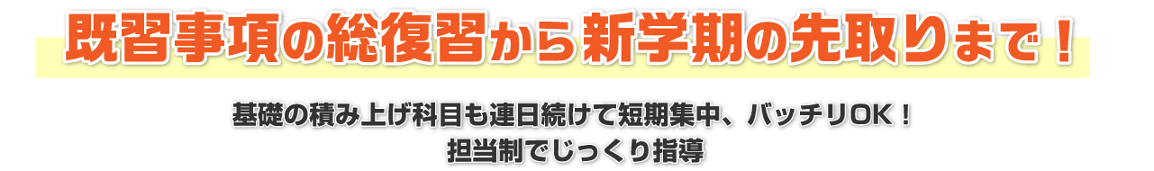 既習事項の総復習から新学期の先取りまで