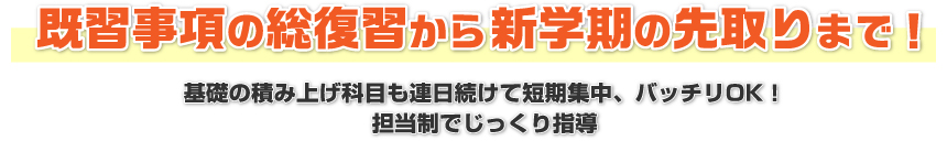 既習事項の総復習から新学期の先取りまで